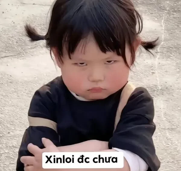 meme xin lỗi được chưa 