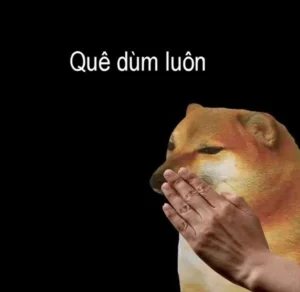 Bộ sưu tập ảnh chế quê meme độc lạ, thú vị viral mạng xã hội