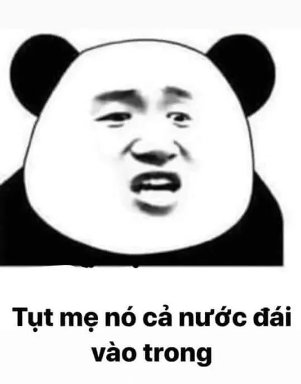 meme gấu trúc sợ hãi 