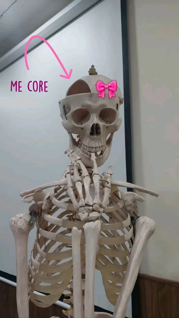 Skeleton meme mùa Halloween