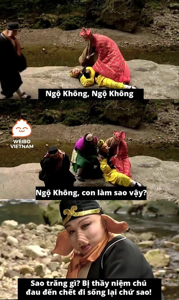 Chùm ảnh meme 4 thầy trò Đường Tăng