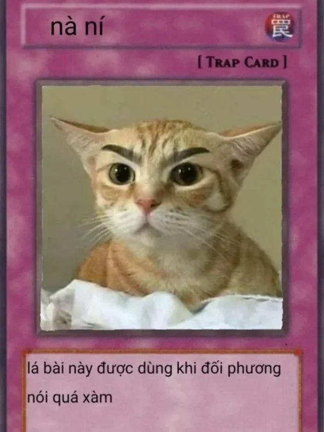 Cười bể bụng với 88+ ảnh lá bài meme hot nhất hiện nay