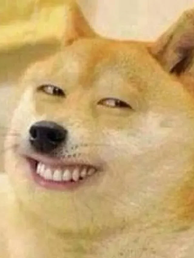 Top 88+ meme cười đểu bá đạo khiến bạn không nhịn được cười