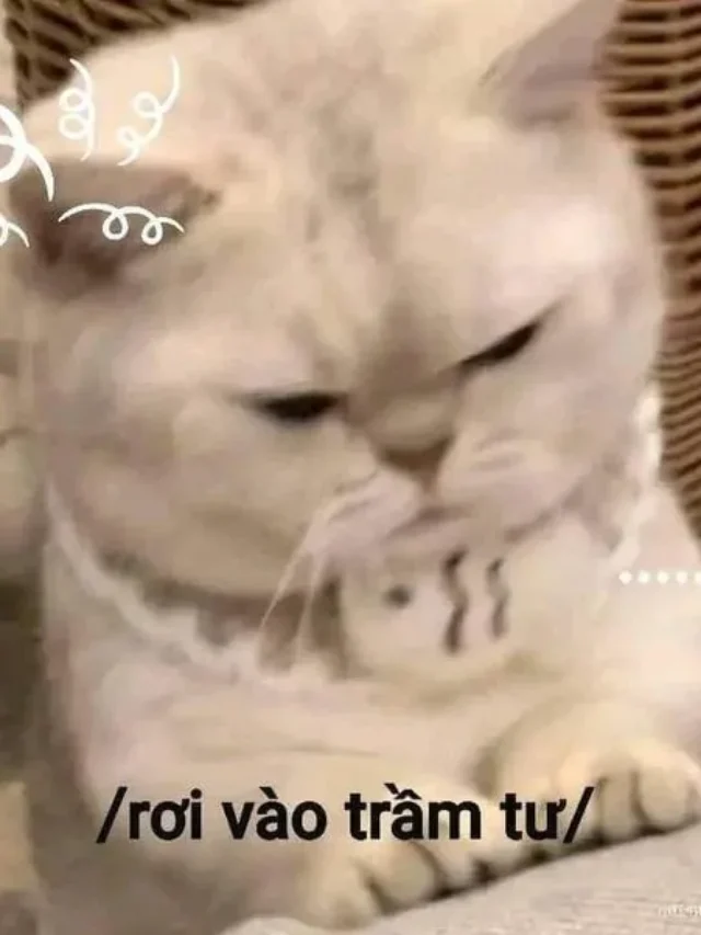 Top 99+ meme thất vọng khiến bạn không nhịn được cười