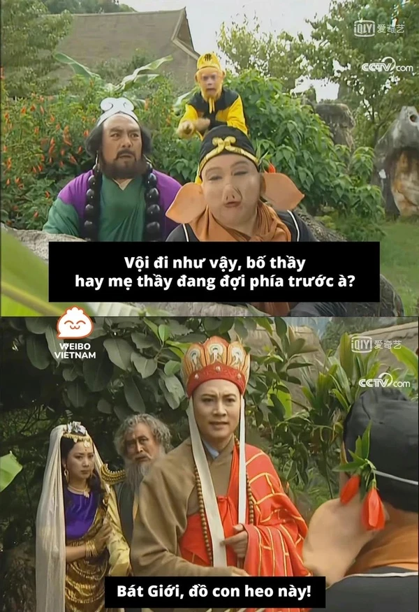 Đường Tăng hài hước trong meme