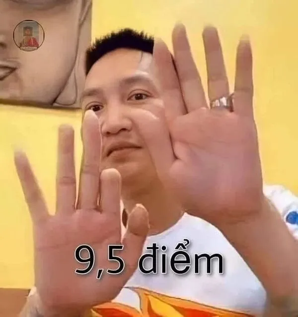 meme 10 điểm huấn hoa hồng 9,5 điểm 