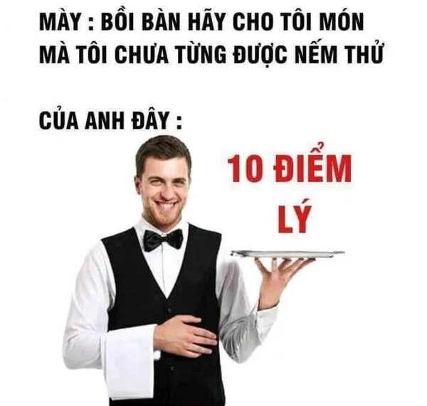 meme 10 điểm lý 