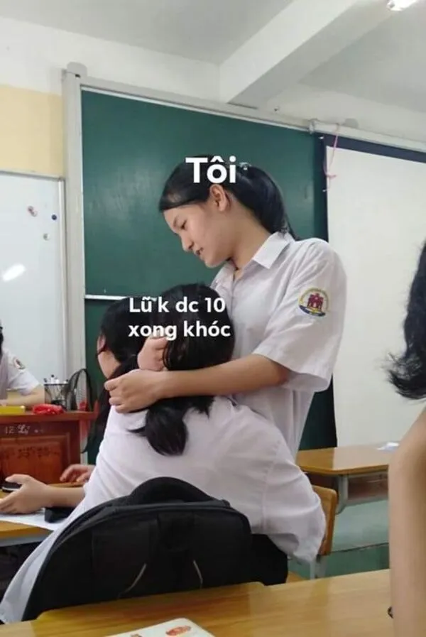 meme an ủi học sinh 