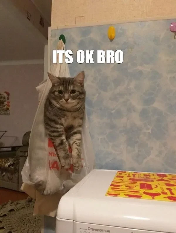 meme an ủi ok bro 