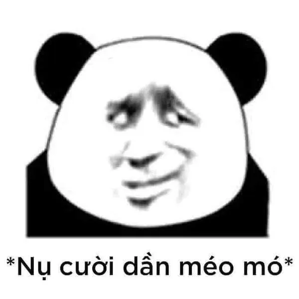 meme cười đểu nụ cười méo mó 