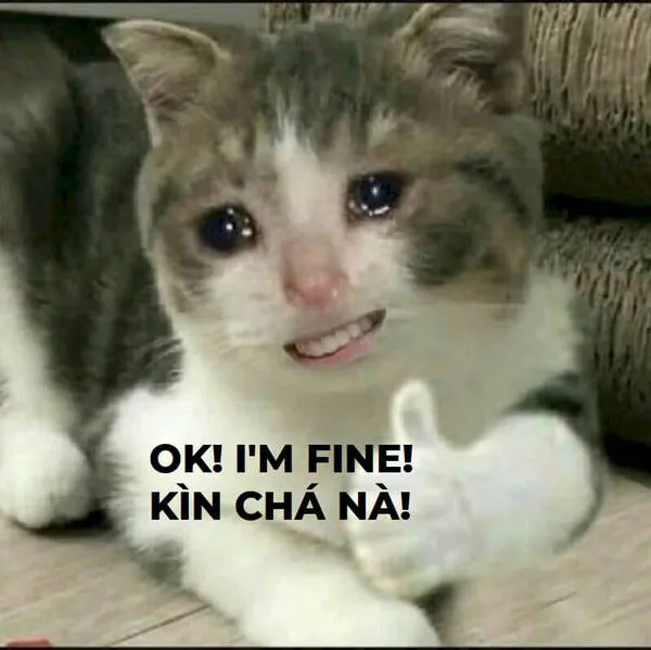 meme cười đểu ok fine 