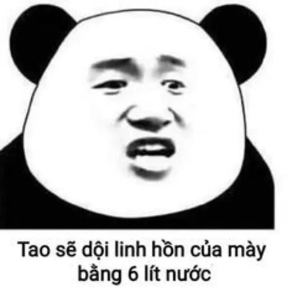 meme gấu trúc 