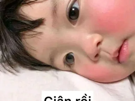 Meme là gì? Top 10+ meme được sử dụng nhiều nhất