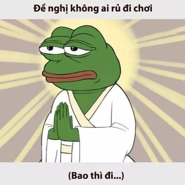 meme hết tiền ếch xanh 