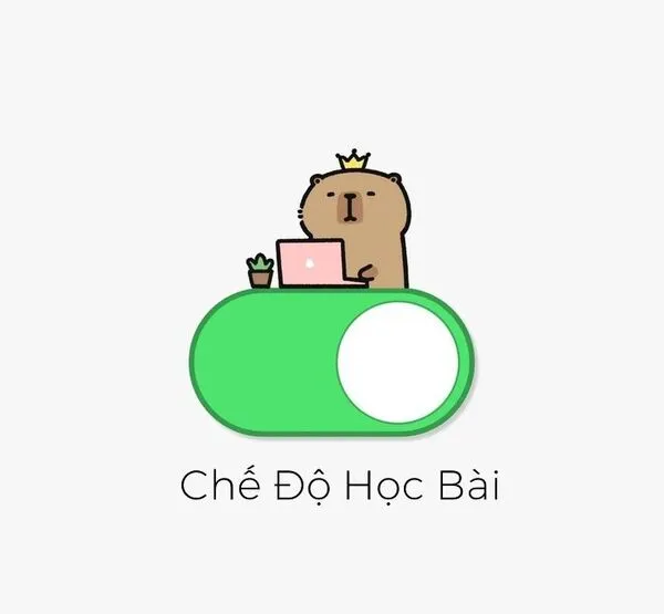 meme học bài chế độ học bài 