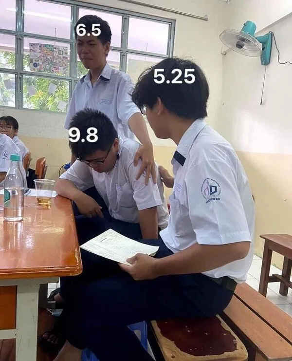 meme học bài điểm thi 