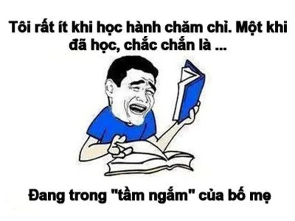 meme học bài độc lạ 