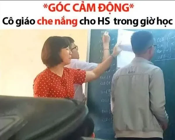 meme học bài cảm động 