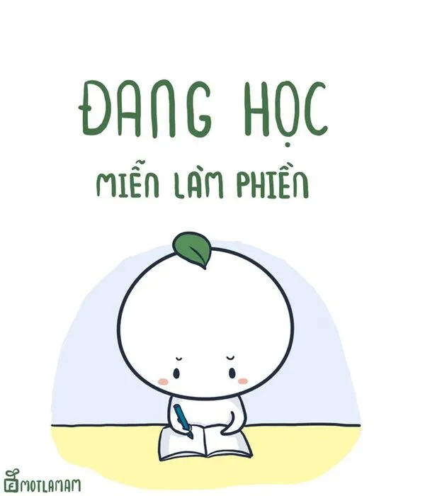 meme học bài miễn làm phiền 