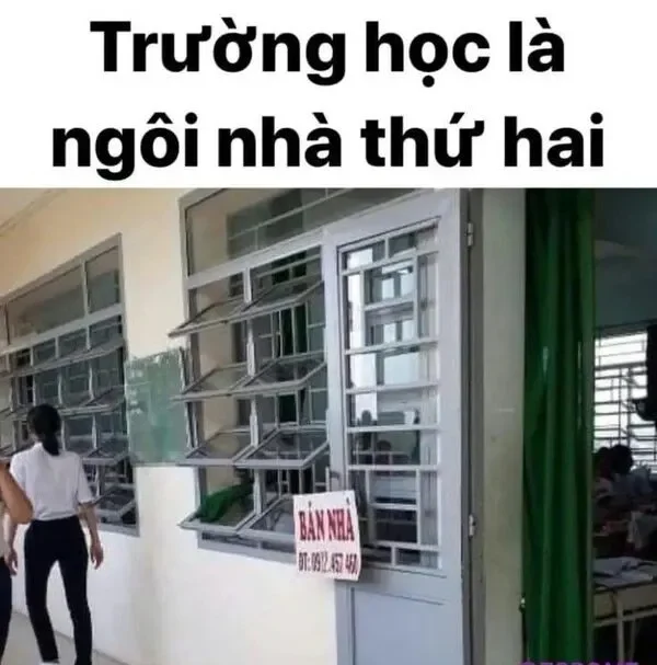 meme học bài trường học là ngôi nhà thứ hai 