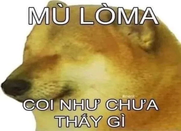 meme mù coi như chưa có gì 