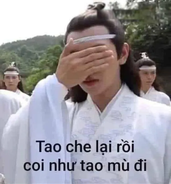 meme mù tao che lại rồi 