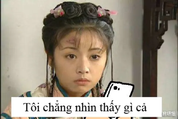 meme mù tôi chẳng thấy gì 