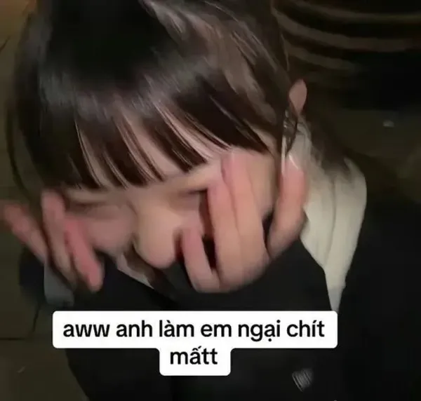 meme ngại chết mất 