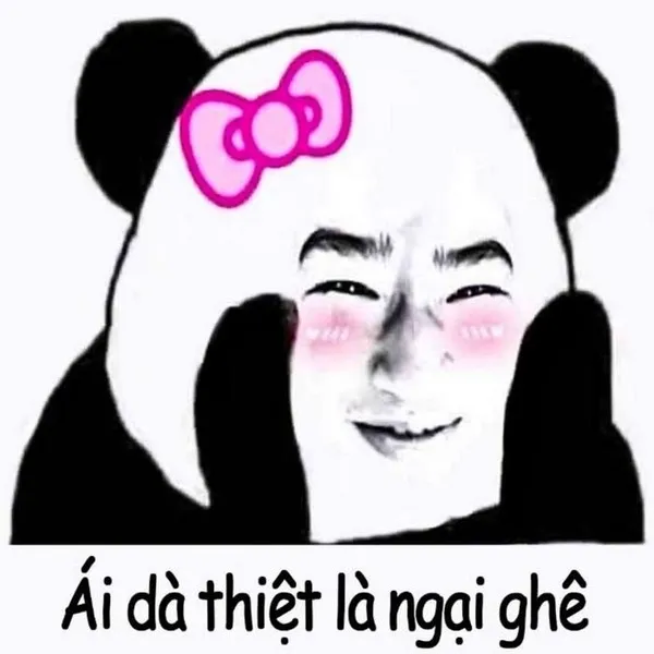 meme ngại gấu trúc 