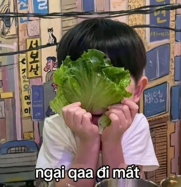 meme ngại quá đi 