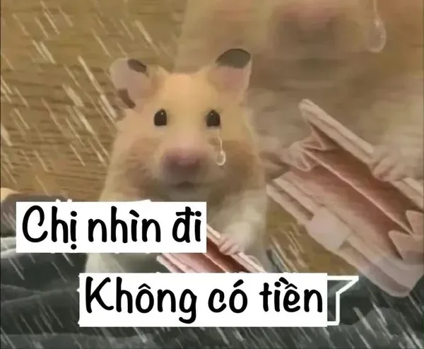 meme nghèo không còn tiền 