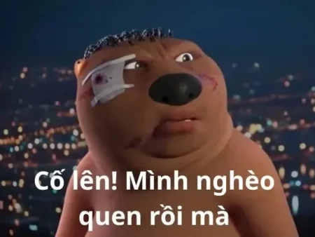 Cười thả ga với 1001+ meme nghèo cho hệ “đỗ nghèo khỉ”