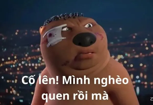 meme nghèo mình nghèo quá rồi 