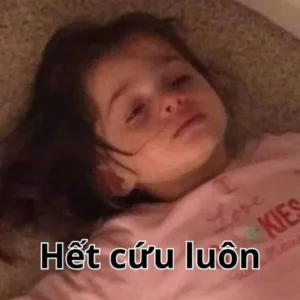 Top 99+ meme thất vọng khiến bạn không nhịn được cười