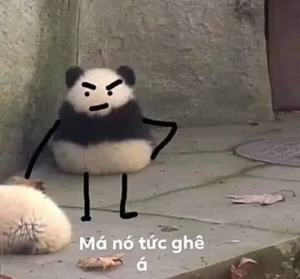 meme tức giận gấu trúc cute 