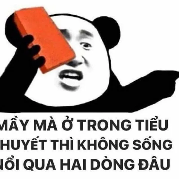 meme tức giận gấu trúc 