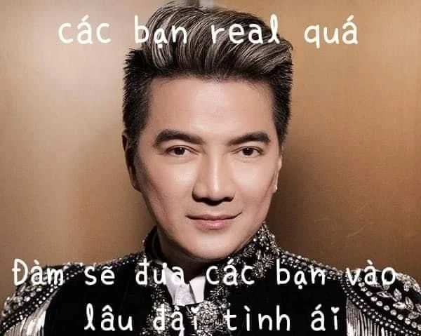 Đàm Vĩnh Hưng meme hài hước