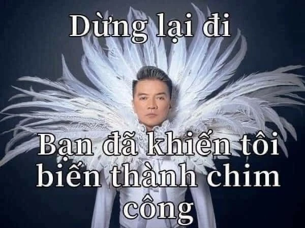 Đàm Vĩnh Hưng meme khiến fan cười nghiêng ngả