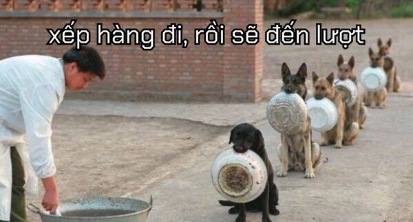 ăn xin meme (3)