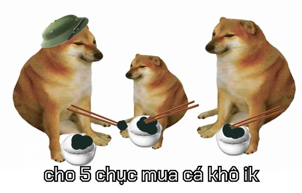 ăn xin meme (5)