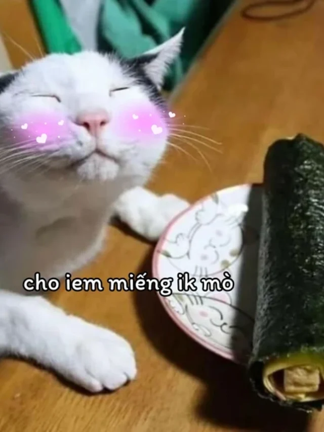 171+ meme ăn xin hài hước thay lời muốn nói khi hết tiền