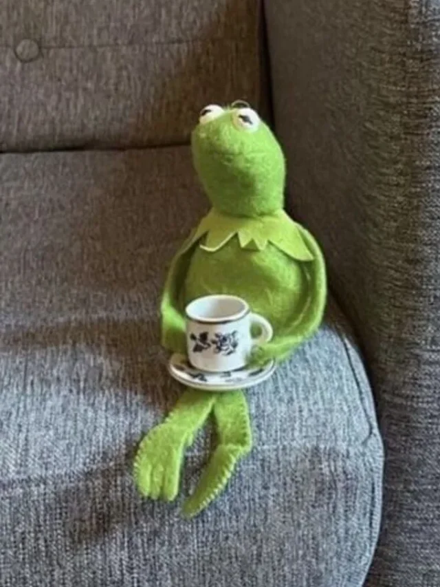 Top 100+ Meme Frog hài hước nhất khiến cư dân mạng thích thú