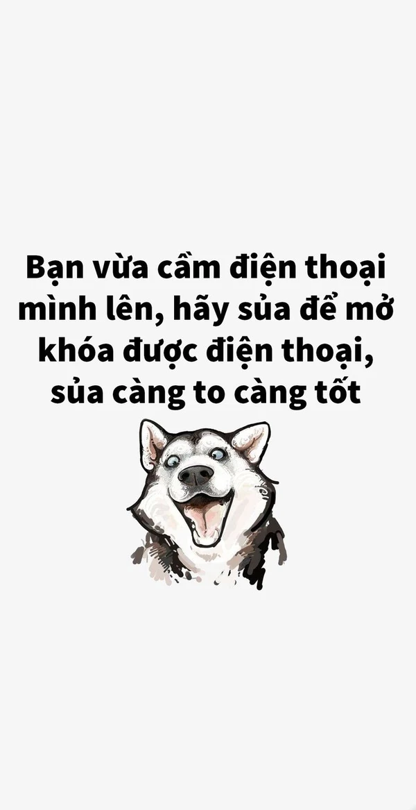 hình nền điện thoại troll (5)