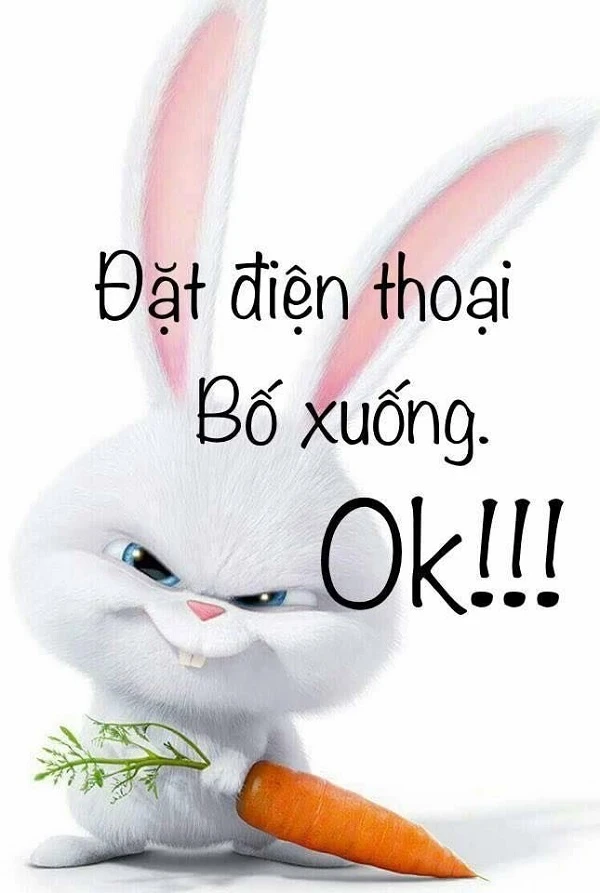 màn hình điện thoại troll (3)