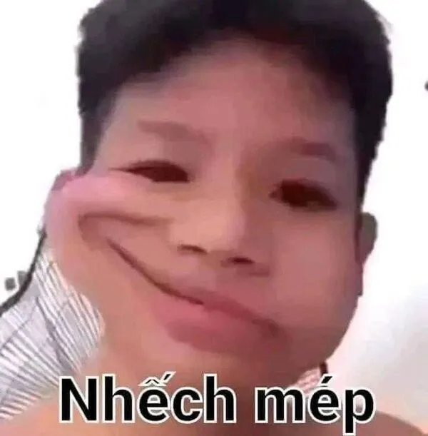 meme khinh bỉ nhếch mép 