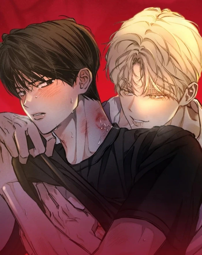 hình anime sẽ gầy ảnh