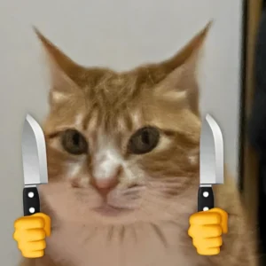 187+ hình ảnh meme mèo cầm dao hài hước, bá đạo nhất