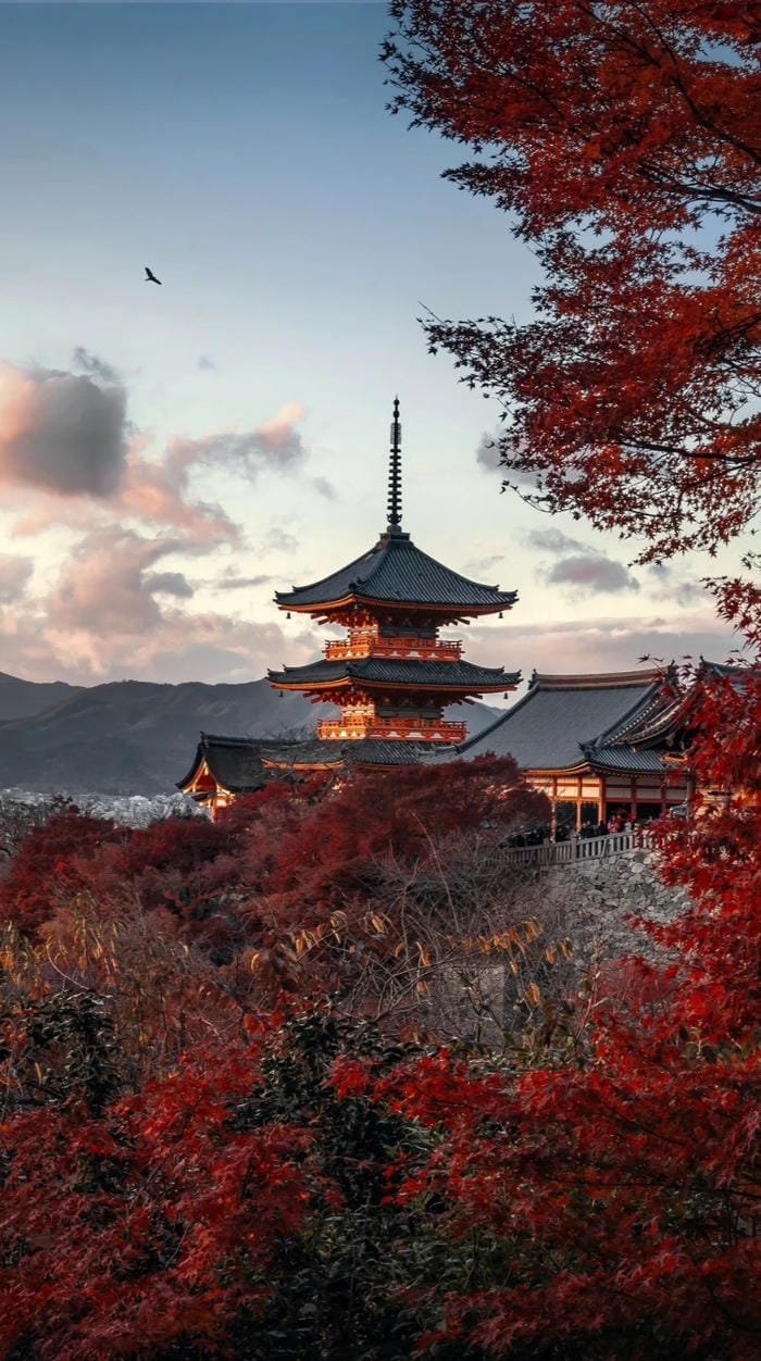 ảnh Nhật Bản đẹp