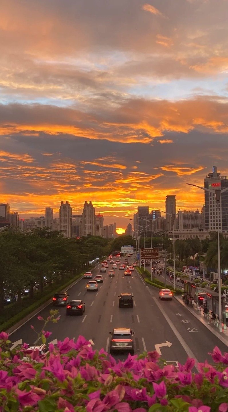 ảnh nền mùa thu thiên nhiên