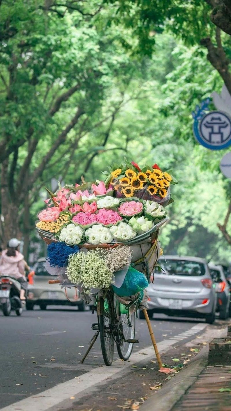 ảnh nền mùa thu